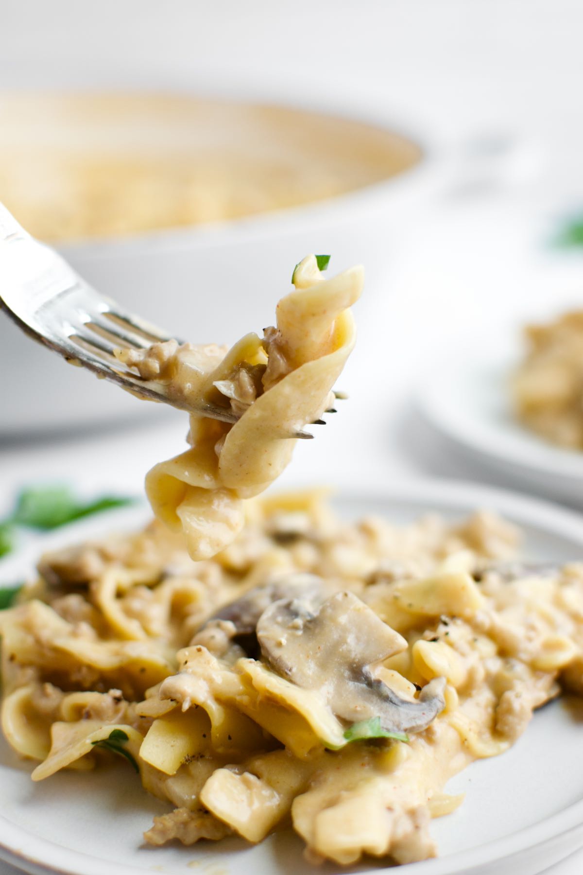 A plate of ground chicken stroganoff with a fork poised above it with a bite of stroganoff on it.