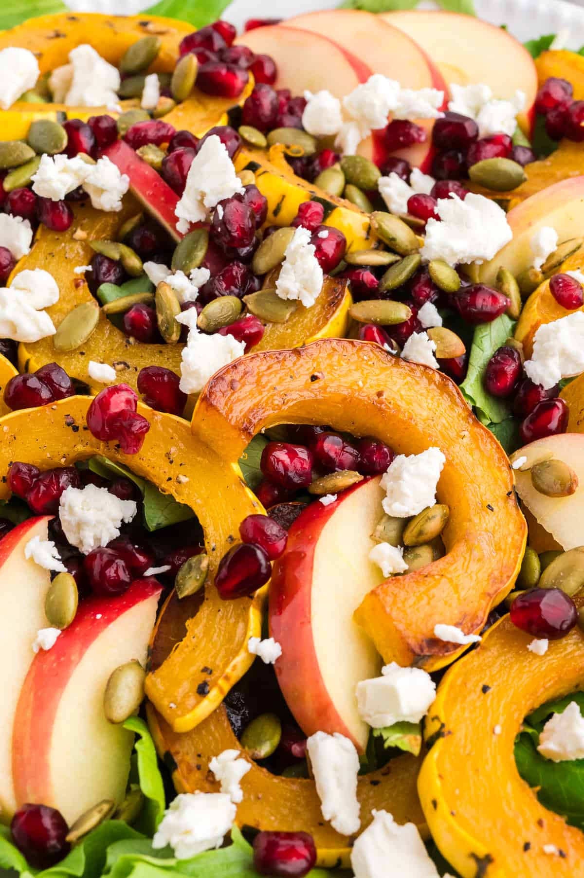 A close up of a roasted delicata squash salad, showing the squash and other toppings.