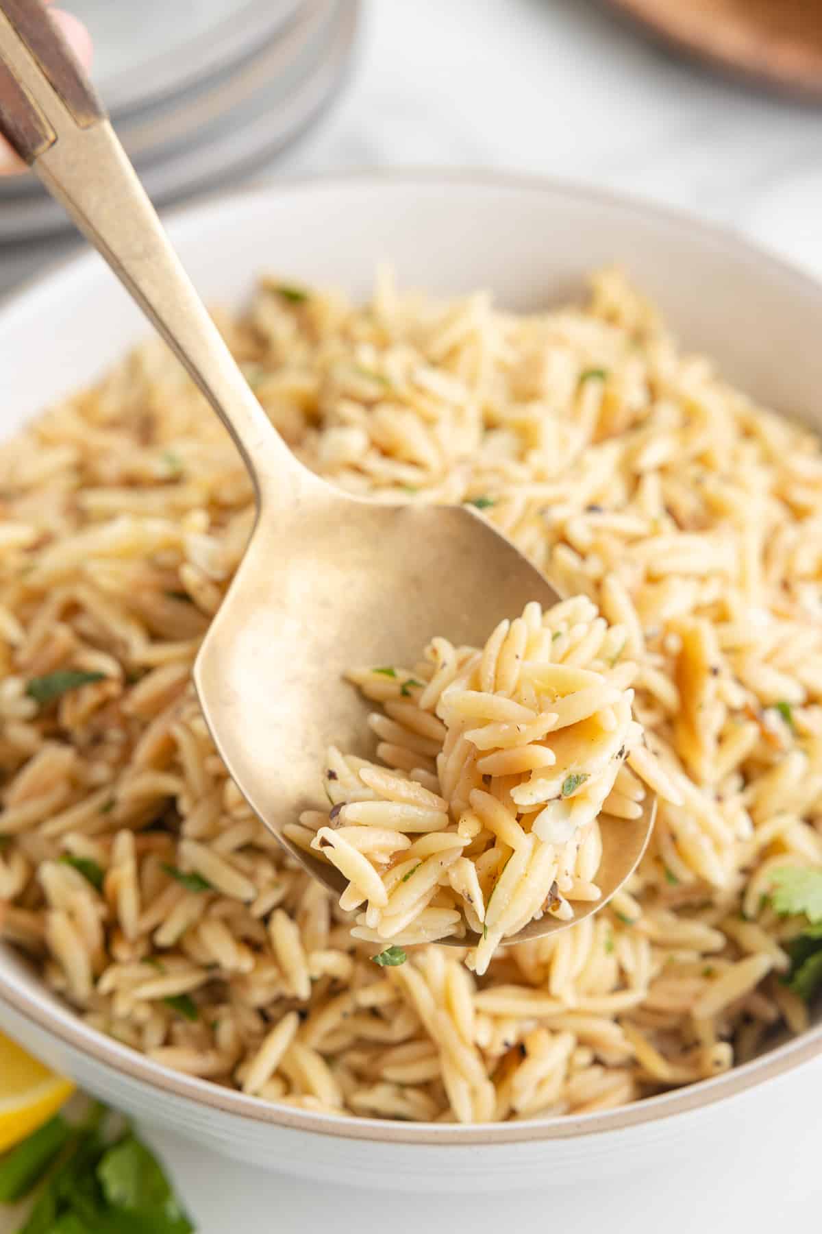 A close up of a spoonful of lemon garlic orzo. A dish of orzo is faded in the background.