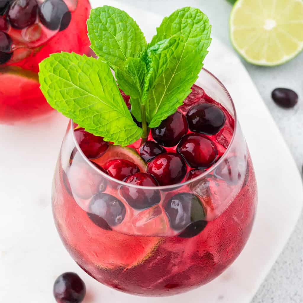 A close-up side view of a vodka cranberry spritzer, garnished with lime, mint and cranberry.