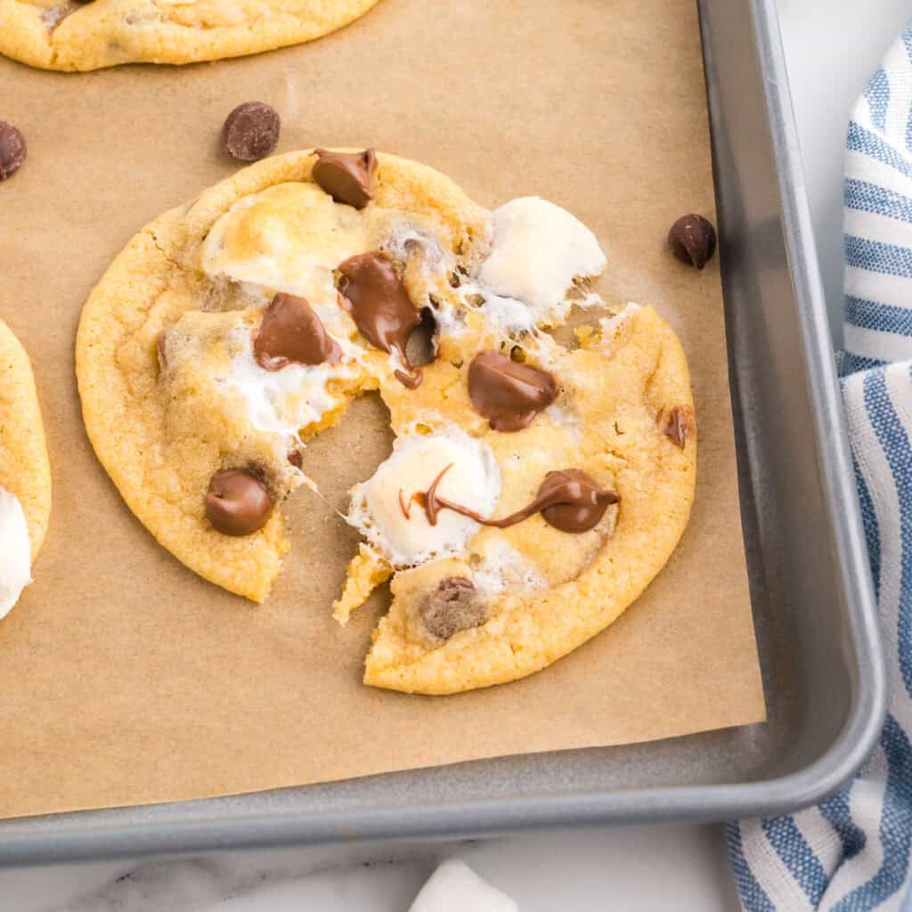 Chocolate Chip Marshmallow Cookies