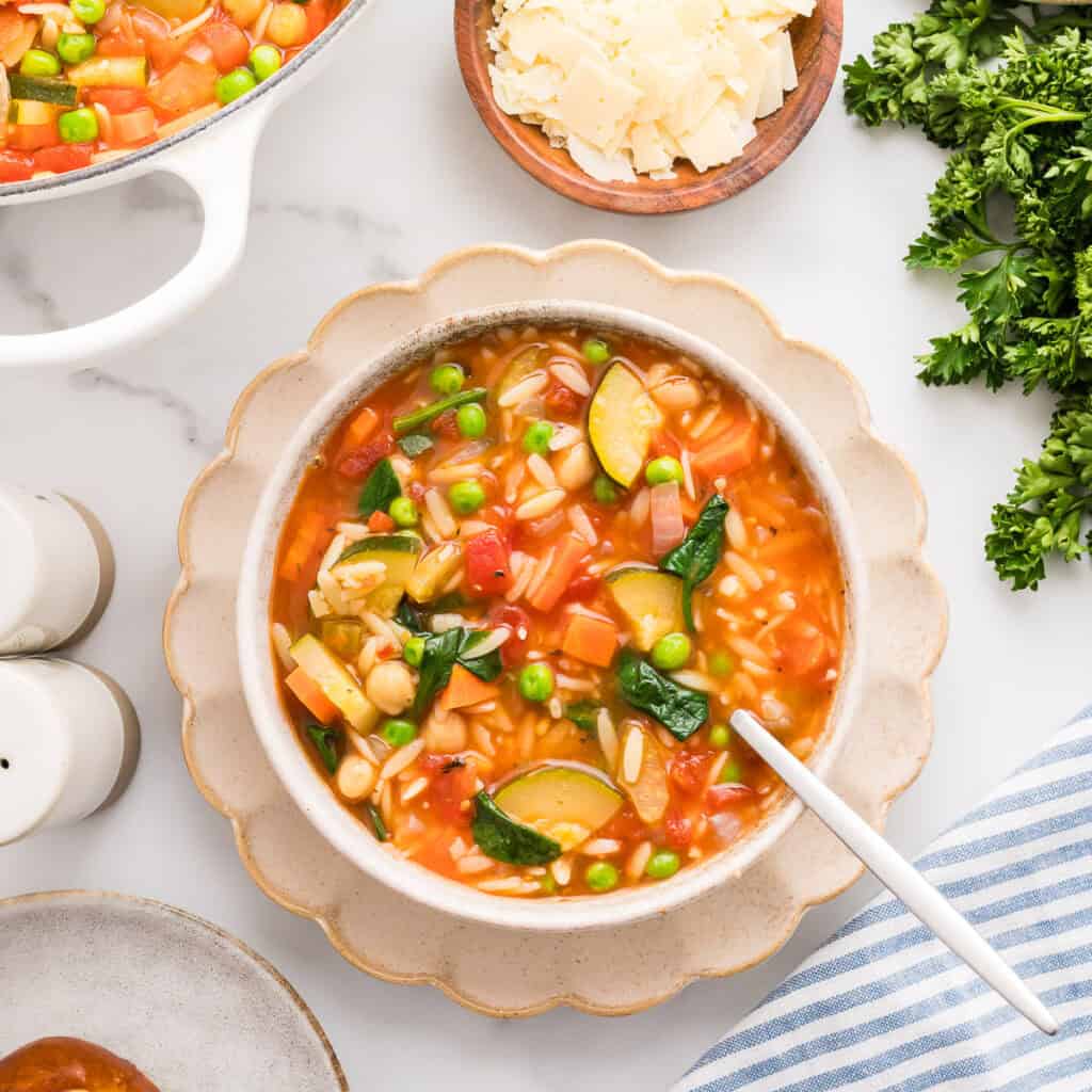 Vegetable Orzo Soup